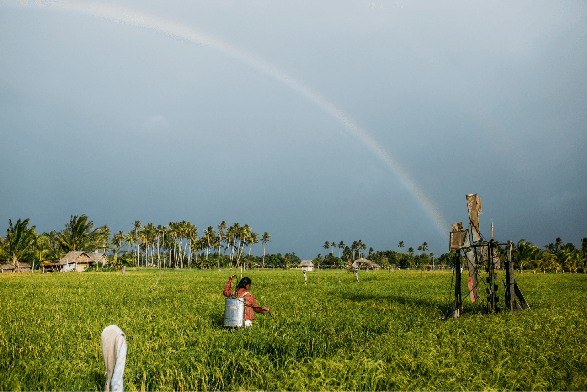 A farmer tends a green field beneath a rainbow, with palm trees and small houses in the distance.