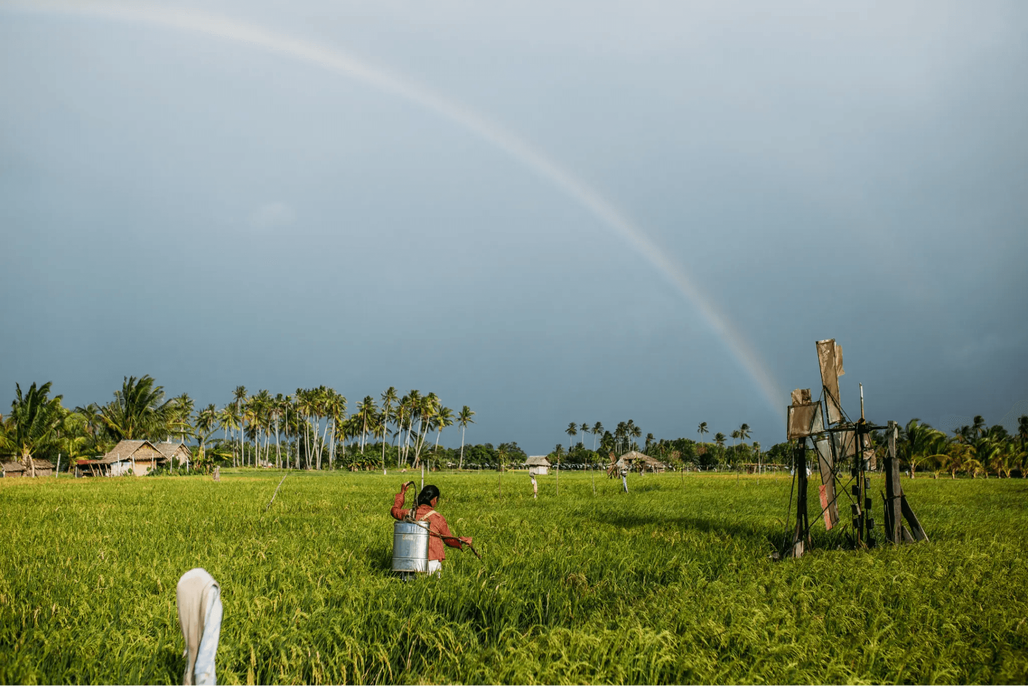 A farmer works in a green field beneath a rainbow.