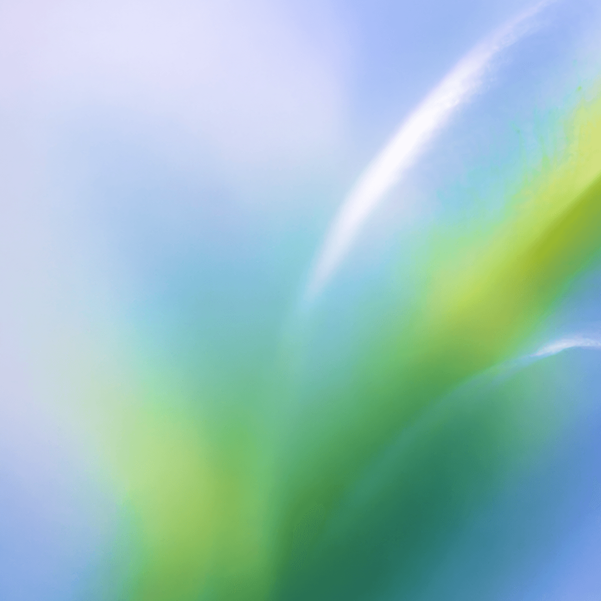 Abstract blue, green, and lavender gradient for the OpenAI Foundation.